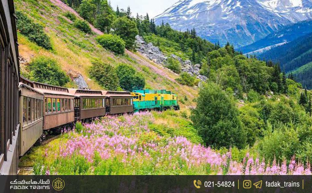 سالانه چند درصد ایرانیان برای سفر کردن از قطار