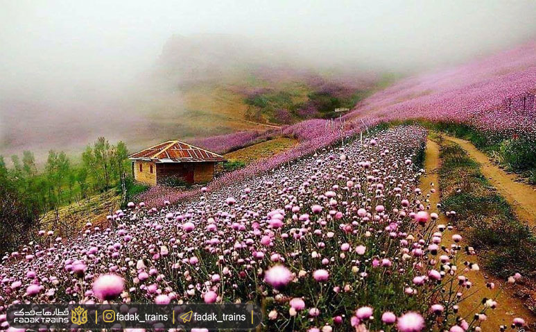 جاده اسالم به خلخال