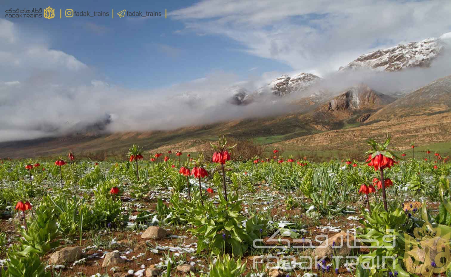 کمتر از 5 دقیقه با تاریخچه شهر کرد آشنا شوید.