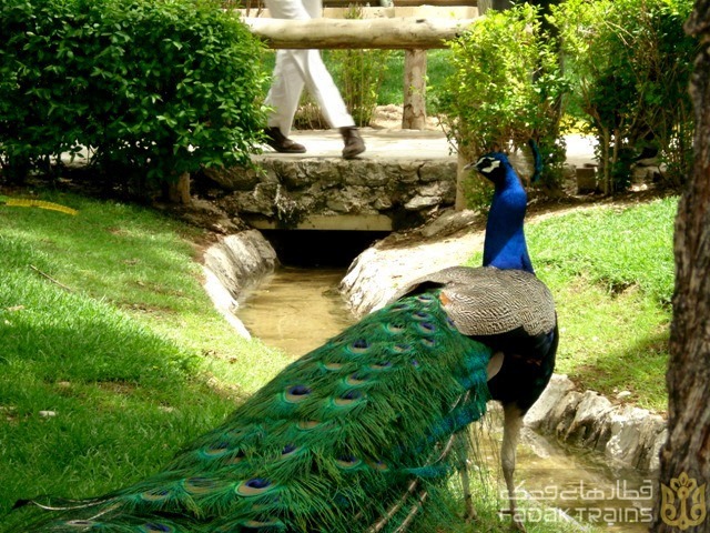 Isfahan Birds Garden