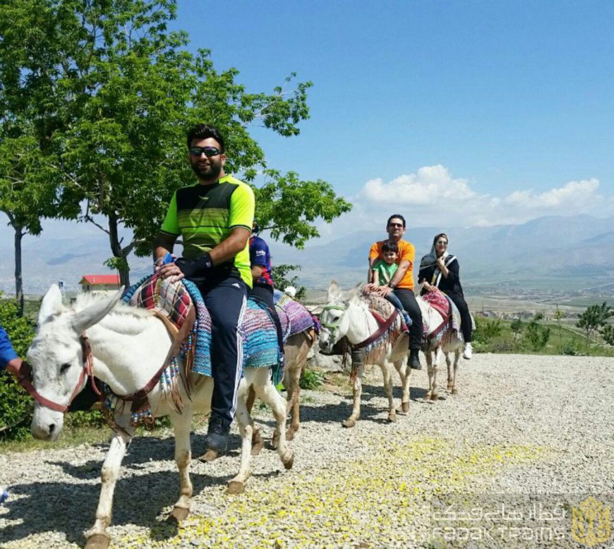 حیوانات مزرعه خورشید