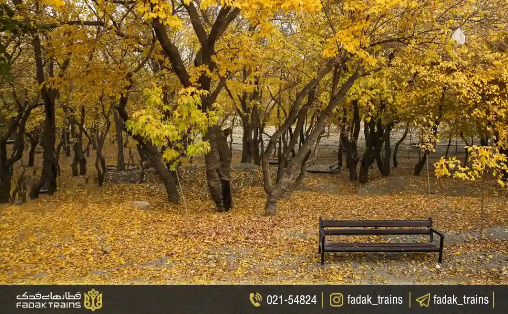 نمایی از  پارک جنگلی وکیل آباد یکی از جاهای دیدنی مشهد