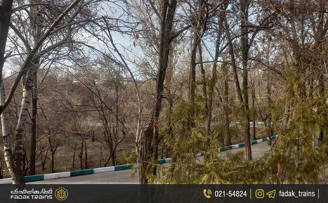 پارک جنگلی ارم