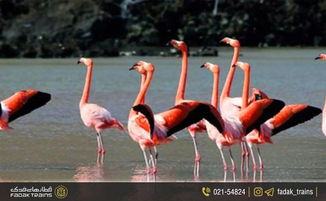 تالاب میقان