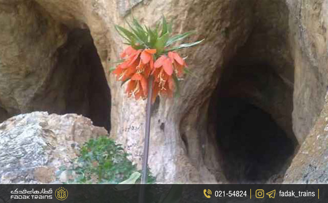 غار سفیدخانی