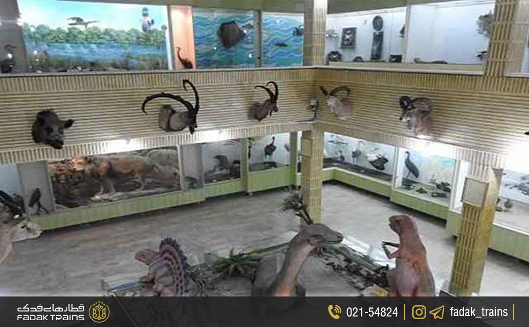 موزه جانورشناسی دانشگاه اراک