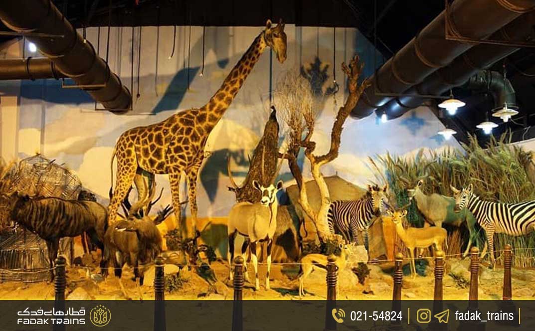 موزه طبیعت و حیات وحش ایران