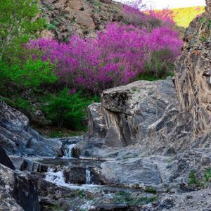 دره ارغوان مکانی دیدنی در اطراف مشهد