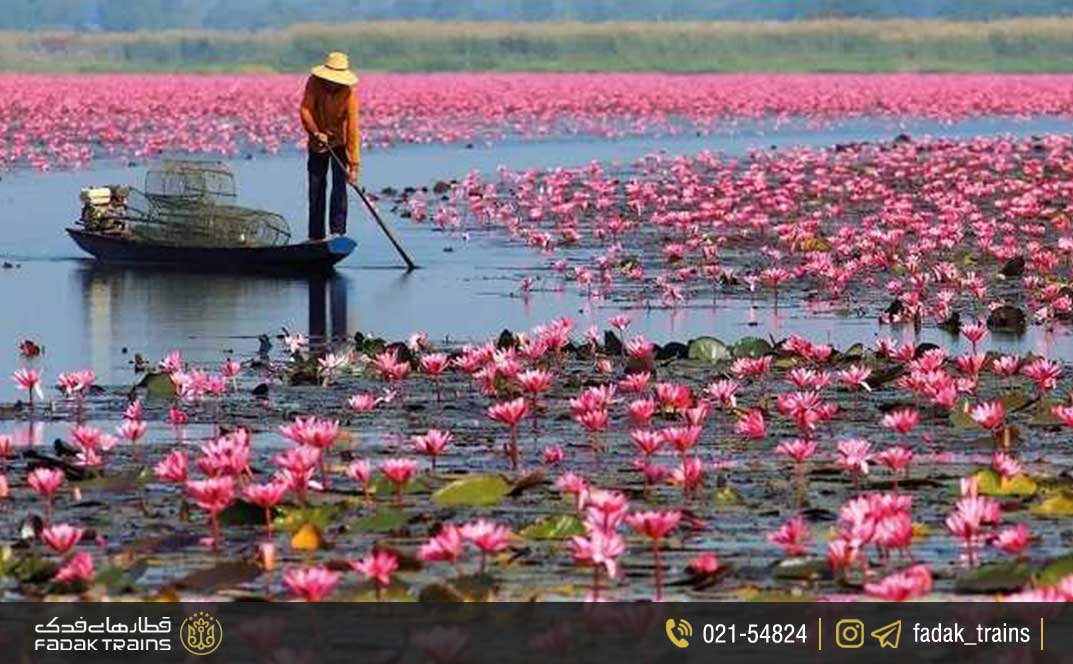 تالاب انزلی