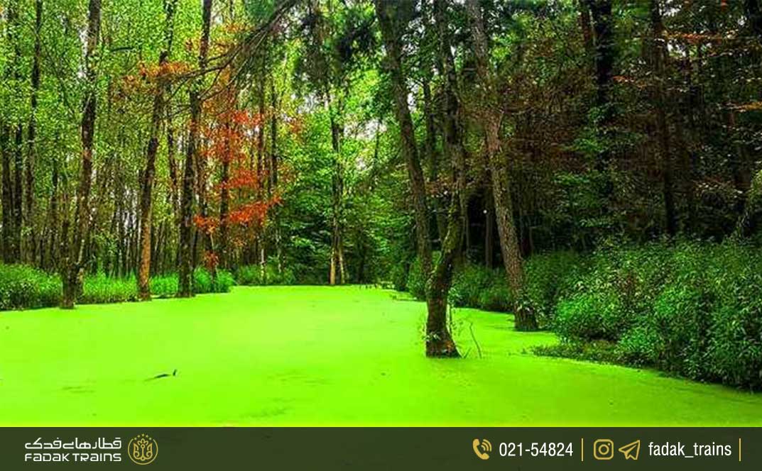 پارک جنگلی سراوان