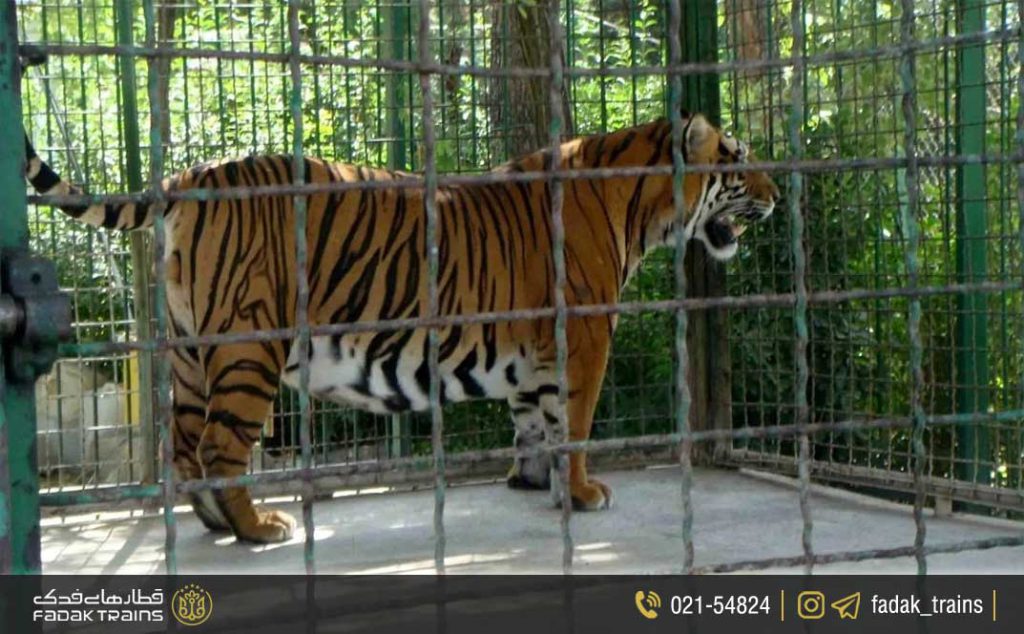 عکس های باغ وحش مشهد