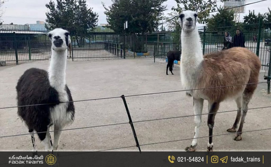 باغ وحش مشهد قیمت بلیط