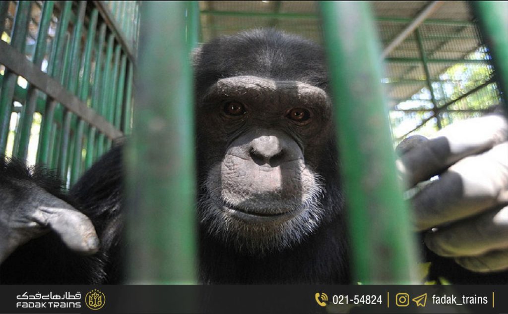 قیمت بلیط باغ وحش وکیل آباد مشهد