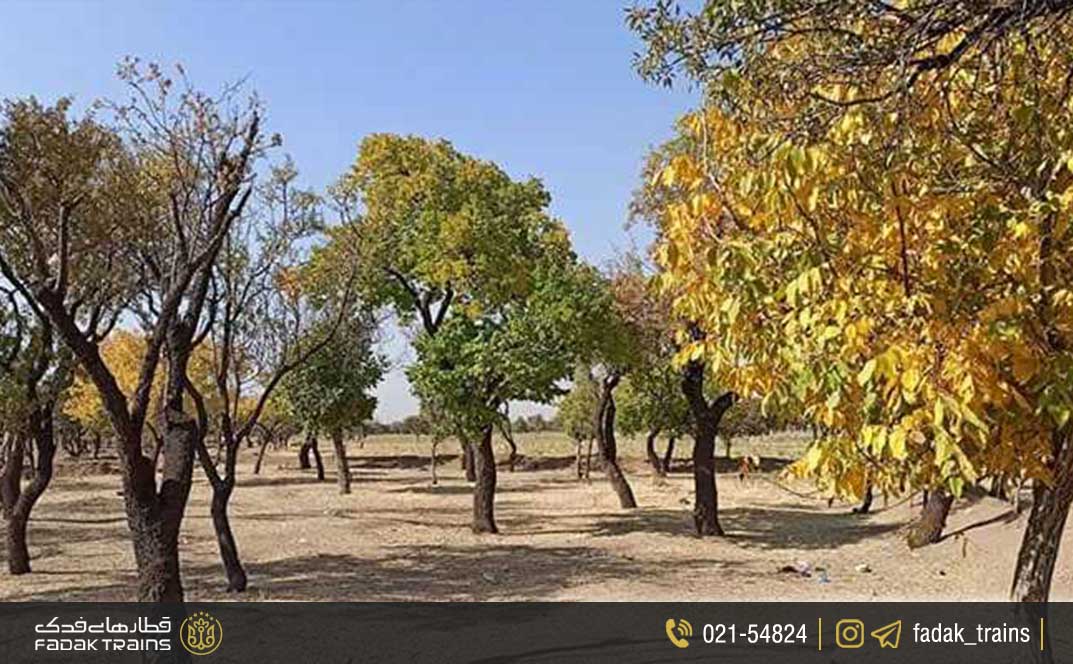 باغستان سنتی قزوین