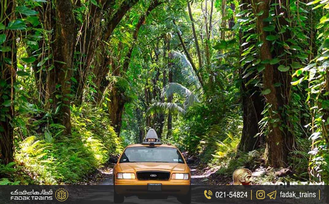 استفاده از حمل‌ونقل عمومی