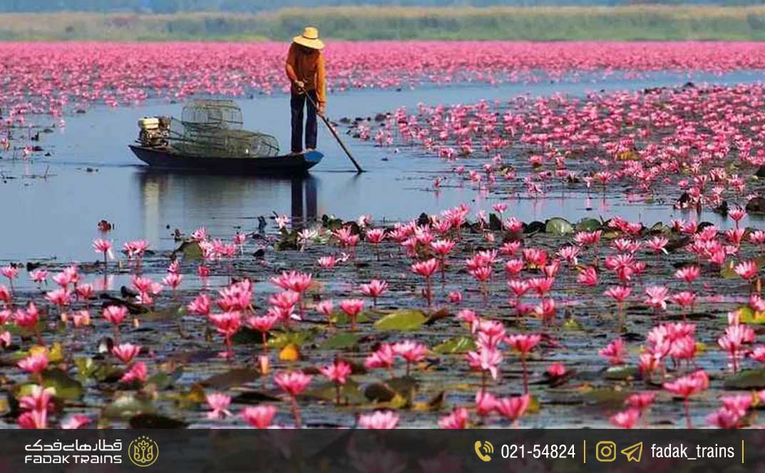 سفر به تالاب انزلی (گیلان)