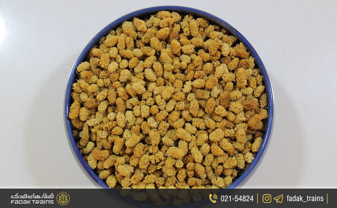 توت خشک مشهدی