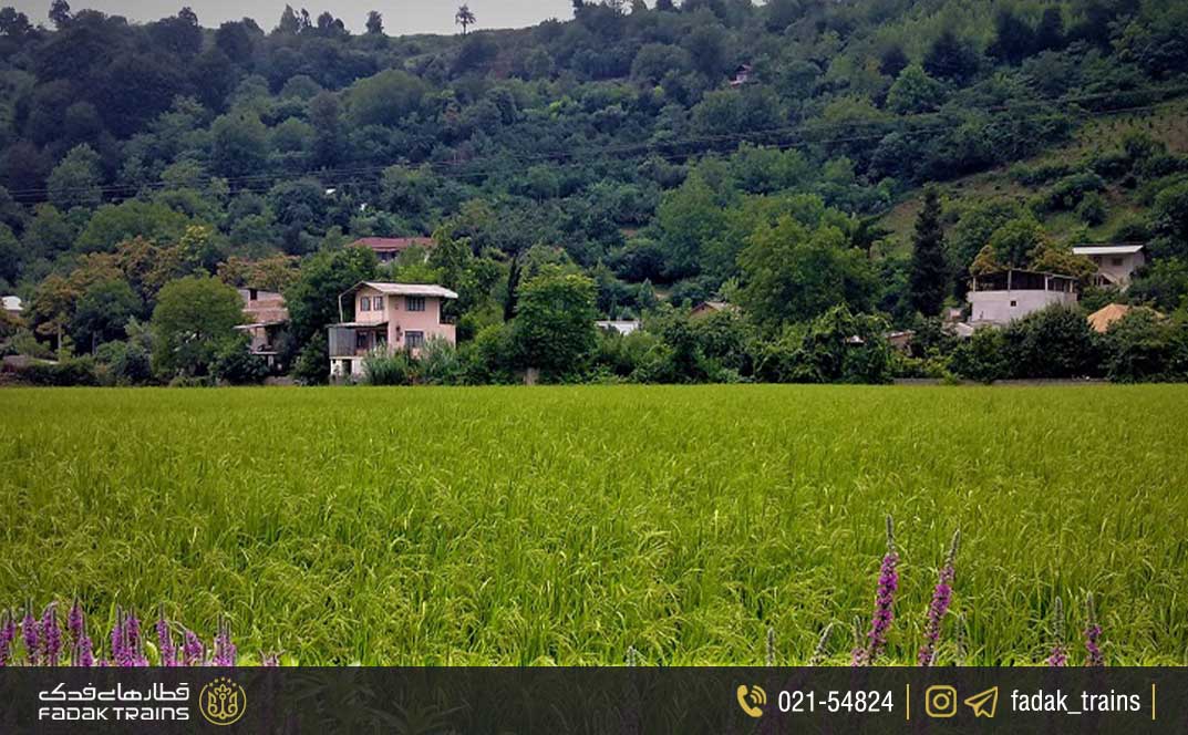 پناهگاه حیات وحش دشت ناز