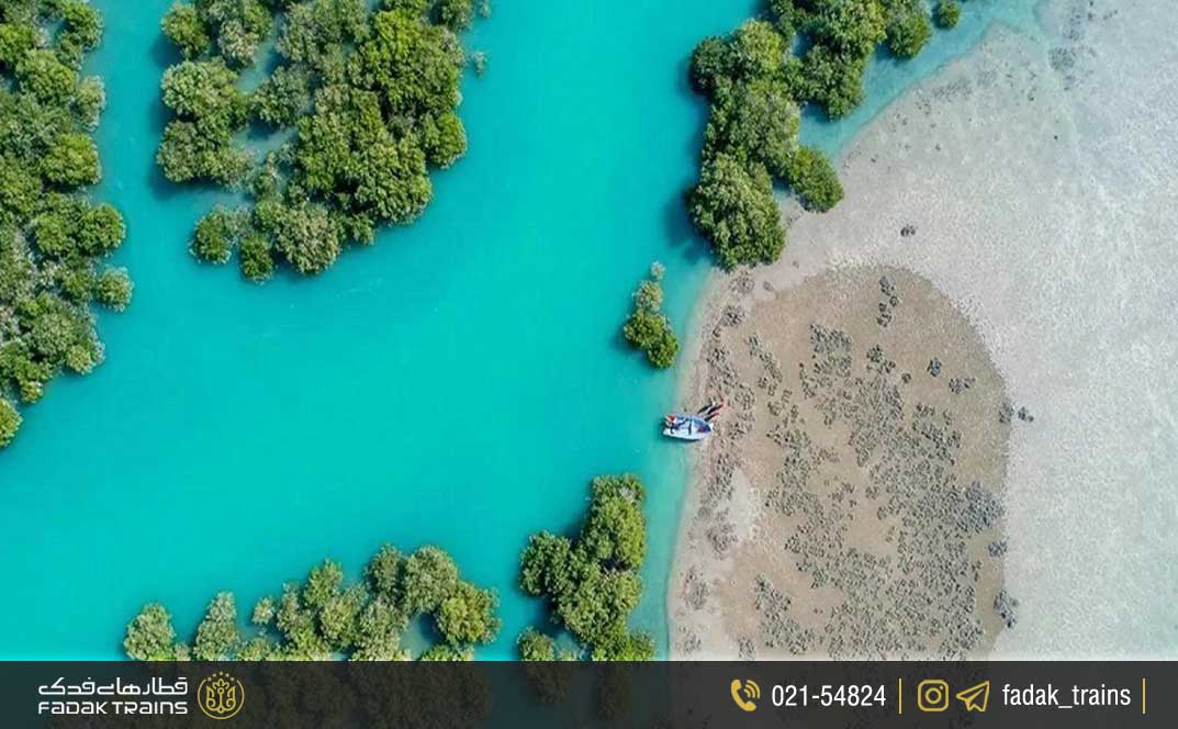 سفر به جنگل حرا در زمستان