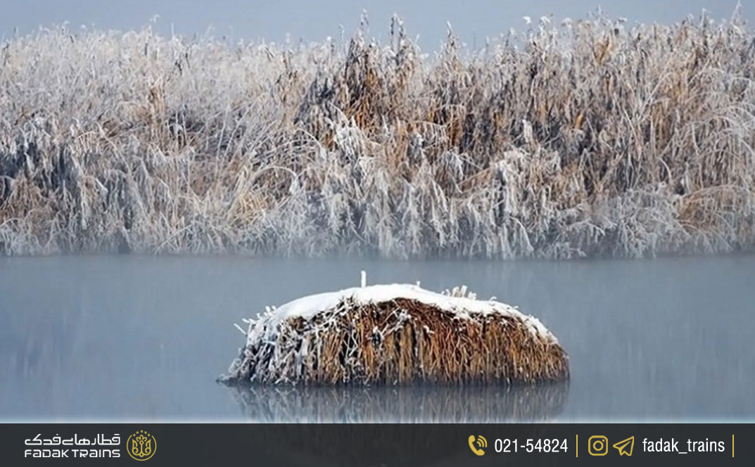 تالاب میقان اراک در زمستان