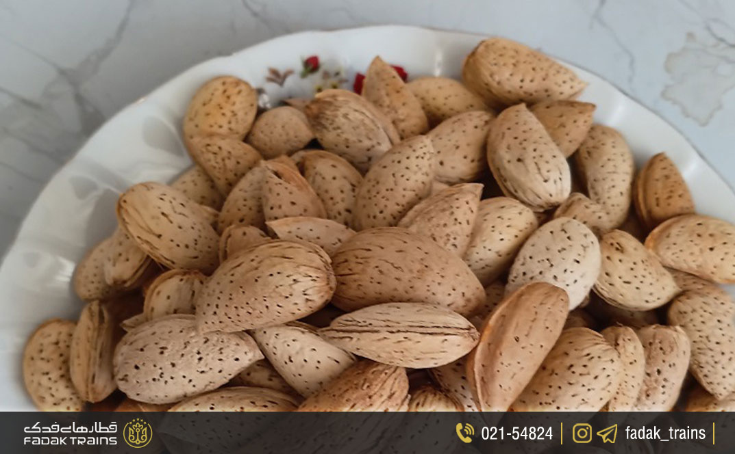 گردو و بادام الموت